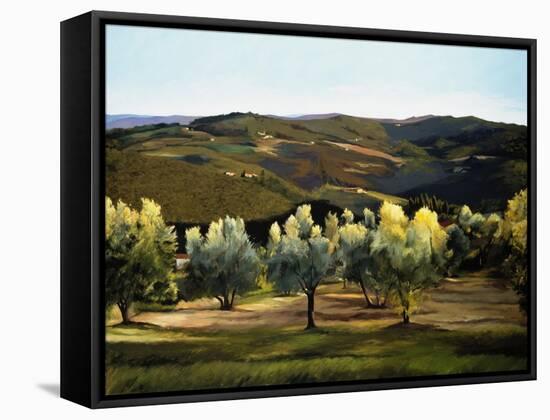 Olive Grove in Italy-Helen J. Vaughn-Framed Stretched Canvas