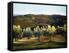 Olive Grove in Italy-Helen J. Vaughn-Framed Stretched Canvas