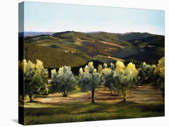 Olive Grove in Italy-Helen J. Vaughn-Stretched Canvas