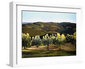 Olive Grove in Italy-Helen J. Vaughn-Framed Giclee Print