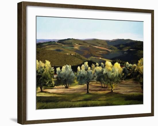 Olive Grove in Italy-Helen J. Vaughn-Framed Giclee Print