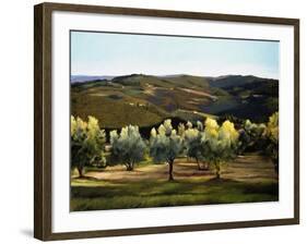 Olive Grove in Italy-Helen J. Vaughn-Framed Giclee Print