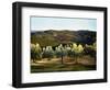 Olive Grove in Italy-Helen J. Vaughn-Framed Giclee Print