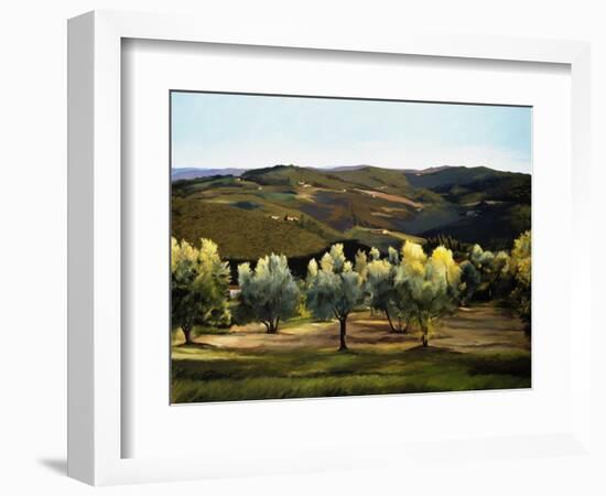 Olive Grove in Italy-Helen J. Vaughn-Framed Giclee Print