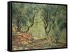 Olive Grove in the Moreno Garden, 1884-Claude Monet-Framed Stretched Canvas