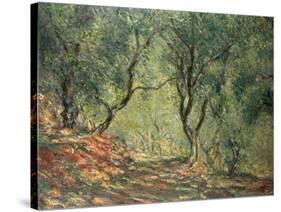 Olive Grove in the Moreno Garden, 1884-Claude Monet-Stretched Canvas