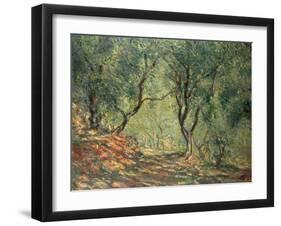 Olive Grove in the Moreno Garden, 1884-Claude Monet-Framed Premium Giclee Print