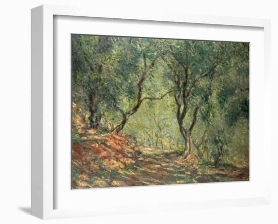 Olive Grove in the Moreno Garden, 1884-Claude Monet-Framed Premium Giclee Print