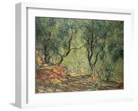 Olive Grove in the Moreno Garden, 1884-Claude Monet-Framed Premium Giclee Print