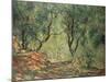 Olive Grove in the Moreno Garden, 1884-Claude Monet-Mounted Premium Giclee Print