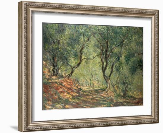 Olive Grove in the Moreno Garden, 1884-Claude Monet-Framed Giclee Print