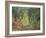 Olive Grove in the Moreno Garden, 1884-Claude Monet-Framed Giclee Print