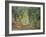 Olive Grove in the Moreno Garden, 1884-Claude Monet-Framed Giclee Print