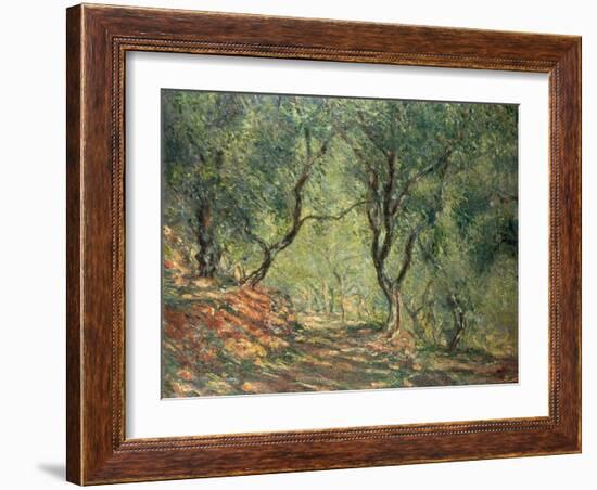 Olive Grove in the Moreno Garden, 1884-Claude Monet-Framed Giclee Print