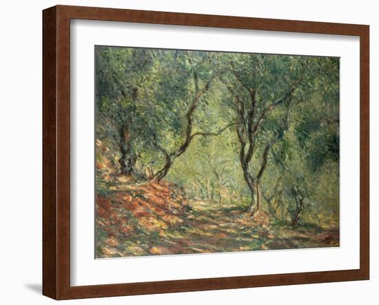 Olive Grove in the Moreno Garden, 1884-Claude Monet-Framed Giclee Print