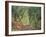 Olive Grove in the Moreno Garden, 1884-Claude Monet-Framed Giclee Print