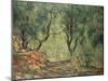 Olive Grove in the Moreno Garden, 1884-Claude Monet-Mounted Giclee Print