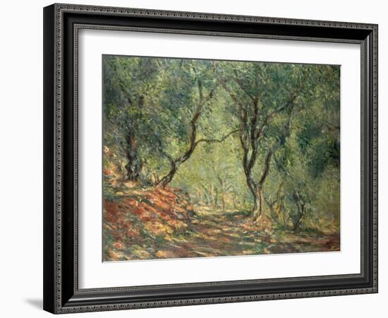 Olive Grove in the Moreno Garden, 1884-Claude Monet-Framed Giclee Print