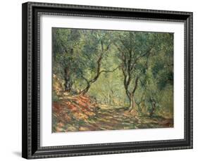 Olive Grove in the Moreno Garden, 1884-Claude Monet-Framed Giclee Print