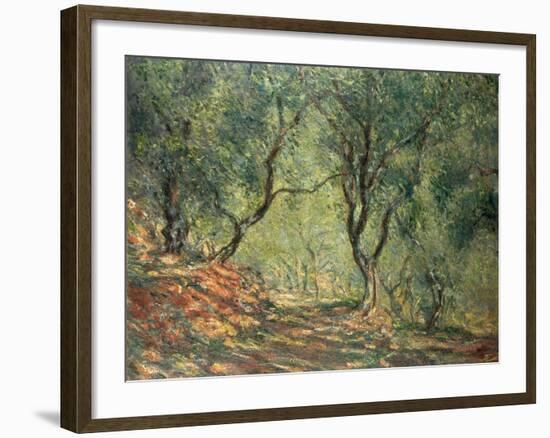 Olive Grove in the Moreno Garden, 1884-Claude Monet-Framed Giclee Print