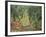 Olive Grove in the Moreno Garden, 1884-Claude Monet-Framed Giclee Print