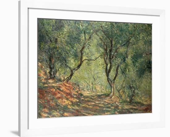 Olive Grove in the Moreno Garden, 1884-Claude Monet-Framed Giclee Print