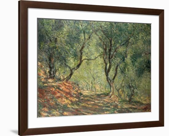 Olive Grove in the Moreno Garden, 1884-Claude Monet-Framed Giclee Print