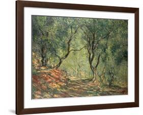 Olive Grove in the Moreno Garden, 1884-Claude Monet-Framed Giclee Print