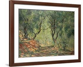 Olive Grove in the Moreno Garden, 1884-Claude Monet-Framed Giclee Print