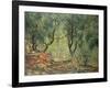 Olive Grove in the Moreno Garden, 1884-Claude Monet-Framed Giclee Print