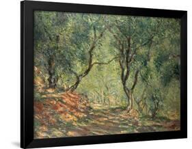 Olive Grove in the Moreno Garden, 1884-Claude Monet-Framed Giclee Print