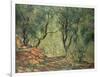 Olive Grove in the Moreno Garden, 1884-Claude Monet-Framed Giclee Print