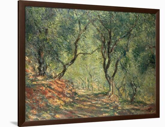 Olive Grove in the Moreno Garden, 1884-Claude Monet-Framed Giclee Print