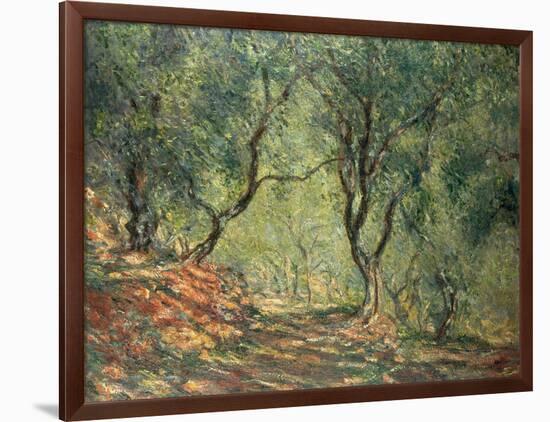 Olive Grove in the Moreno Garden, 1884-Claude Monet-Framed Giclee Print