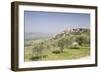 Olive grove near to Trevi in the Val di Spoleto, Umbria, Italy, Europe-Julian Elliott-Framed Photographic Print