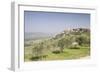 Olive grove near to Trevi in the Val di Spoleto, Umbria, Italy, Europe-Julian Elliott-Framed Photographic Print