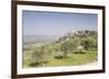 Olive grove near to Trevi in the Val di Spoleto, Umbria, Italy, Europe-Julian Elliott-Framed Photographic Print