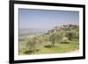 Olive grove near to Trevi in the Val di Spoleto, Umbria, Italy, Europe-Julian Elliott-Framed Photographic Print