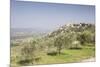 Olive grove near to Trevi in the Val di Spoleto, Umbria, Italy, Europe-Julian Elliott-Mounted Photographic Print