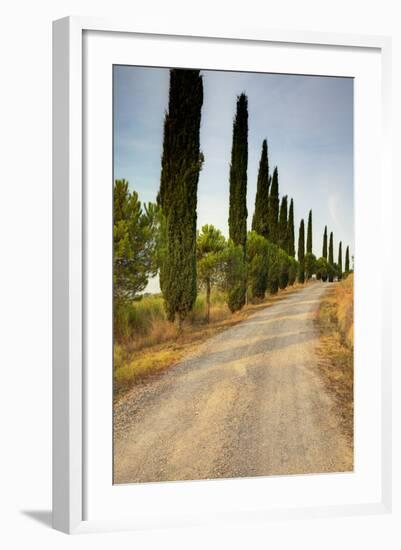 Olive Grove on the Rolling Hills of Tuscany-Terry Eggers-Framed Photographic Print