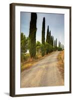 Olive Grove on the Rolling Hills of Tuscany-Terry Eggers-Framed Photographic Print