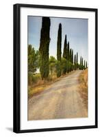 Olive Grove on the Rolling Hills of Tuscany-Terry Eggers-Framed Photographic Print