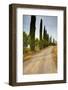 Olive Grove on the Rolling Hills of Tuscany-Terry Eggers-Framed Photographic Print