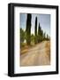 Olive Grove on the Rolling Hills of Tuscany-Terry Eggers-Framed Photographic Print