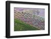 Olive Grove on the Rolling Hills of Tuscany-Terry Eggers-Framed Photographic Print