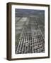 Olive Groves and Vineyards, Mendoza, Argentina-null-Framed Photographic Print