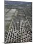 Olive Groves and Vineyards, Mendoza, Argentina-null-Mounted Photographic Print
