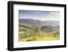 Olive Groves and Vineyards Near to Radda in Chianti, Tuscany, Italy, Europe-Julian Elliott-Framed Photographic Print