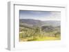 Olive Groves and Vineyards Near to Radda in Chianti, Tuscany, Italy, Europe-Julian Elliott-Framed Photographic Print