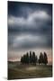 Olive Groves and Vineyards of the Monticiano Area-Terry Eggers-Mounted Photographic Print